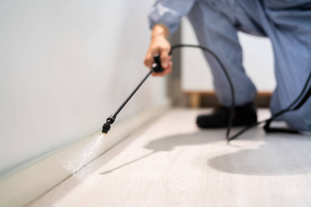 Professional exterminator conducting IPM assessment in Merrillville