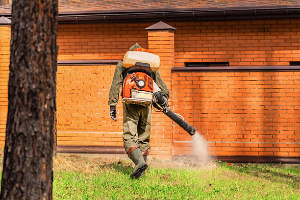 Top rated local Wasp Removal specialists in Merrillville, IN